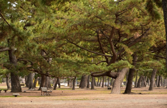 浜寺公園